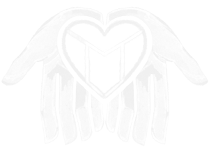 Apartheid Free Apartheid Free