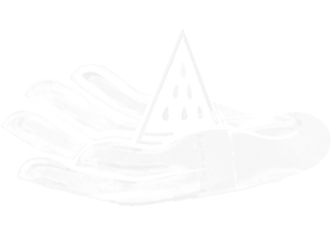 Palestine Owned Palestine Owned