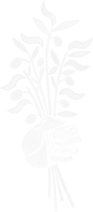 Gazacola Wholesale Gazacola wholesale